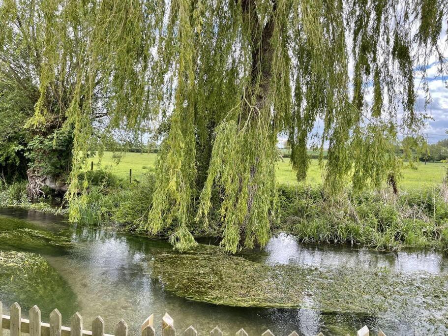 Willow Tree - Cosy In The Heart Of The Kent Countryside